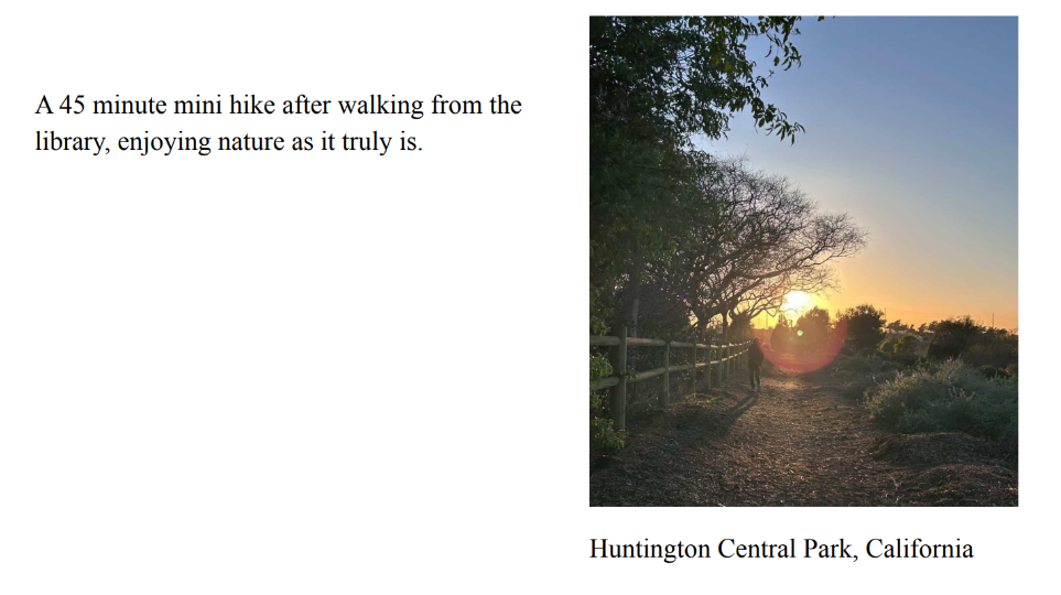 Photo of a dirt trail during sunset with trees lining the left side. Caption: Huntington Central Park, California. Text: 
					A 45 minute mini hike after walking from the 
library, enjoying nature as it truly is.